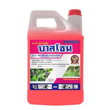 บาสโซน